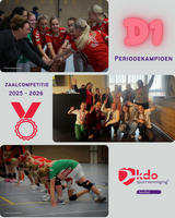 Handbalmeiden D1 gehuldigd na periodekampioenschap